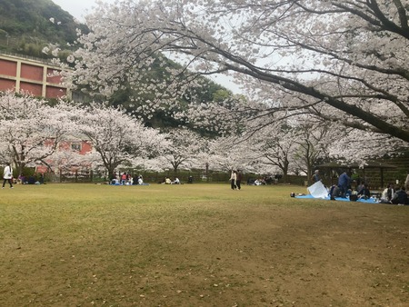 2024.03.31 西山下流ダム公園IMG_7827