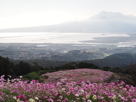 2023.10.13�����ᡡ�������⸶PA131353