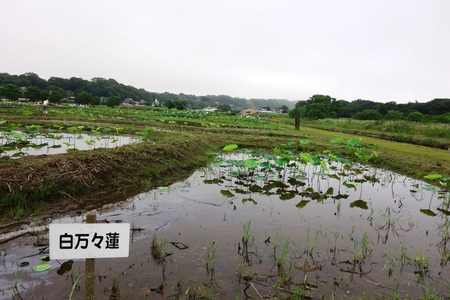 15-���������ϡ��DSC09820