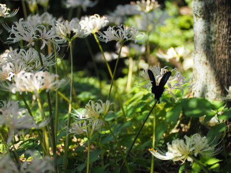 ��¼�ԡ���١�ȭ��������߲�P9241404