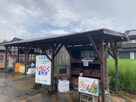 ���餭���ࡡ�����¤�̵�������IMG_3650