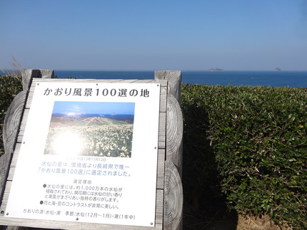 17-�����DSC00585