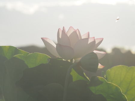 2025.07.26������ϥ���P7270053