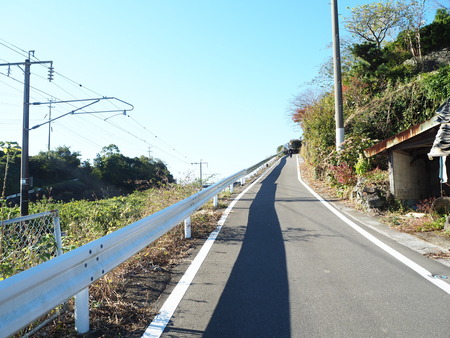 10-£Ê£Ò¥¦¥©¡¼¥¥ó¥°¡¡´ÒÁá»Ô¹âÍèÄ®PA251607