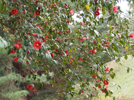 ��ٸ��ࡡ���P3081742