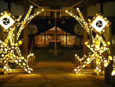 ¾®ÉͲ¹ÀôÅô¤ë¥×¥í¥¸¥§¥¯¥ÈP2211428