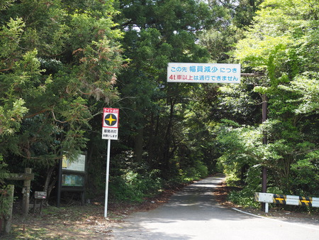 �项����P1012187