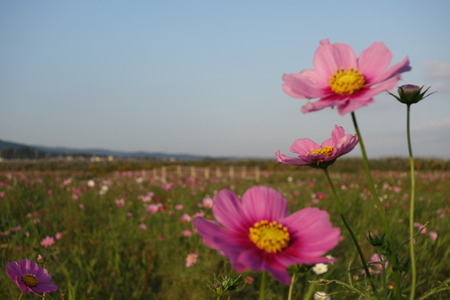 10-DSC00462