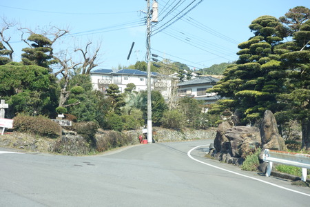 9-虎馬園DSC04884