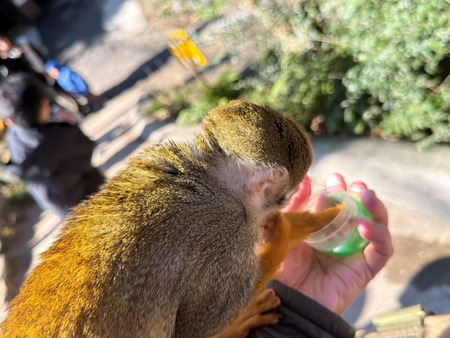 .Ĺ��Х����ѡ������ꥹ����IMG_0533