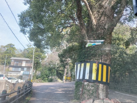 2023.03.12 長崎市 立山公園IMG_4323