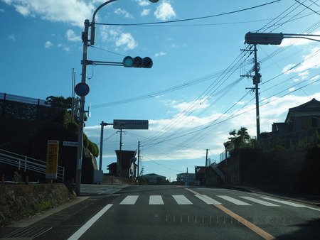 3-南島原市加津佐町 大地牧場のひまわり畑P8126265