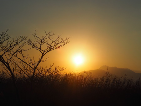 2023.01.01 諫早湾中央干拓P1013034