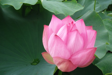 16�����������ϥ���DSC08873