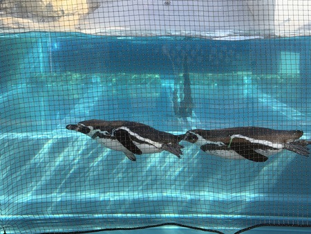 ���������IMG_2311