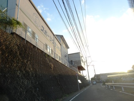 15-DSC00586