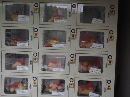 2023.06.10������Կ���Į�����ޤ�P1019906