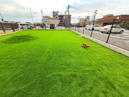 �������Хå��������ɺ�ŹI���ɥå����IMG_4503