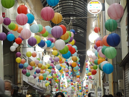 2024.08.25���縶��ޤĤ�P8250142