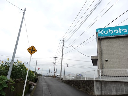 6-DSC03451