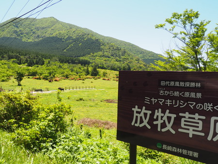 2024.05.10 奥雲仙 田代原P5092709