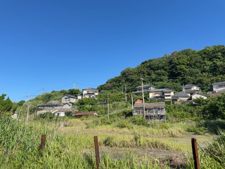 ̱��IMG_2537