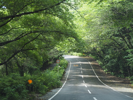 2023.06.10������Կ���������P1019473