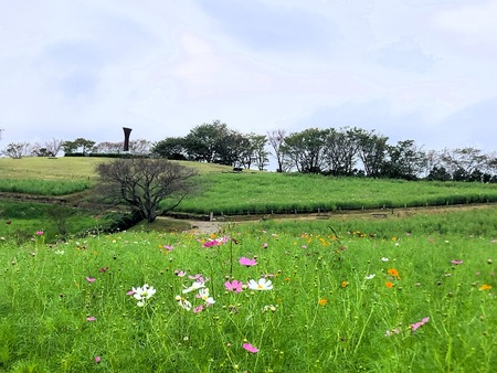 2023.09.30������ԡ��������⸶IMG_9964