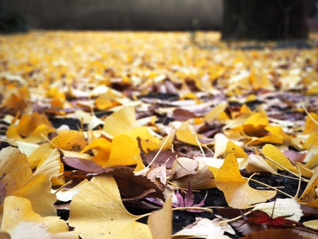 2021.11.24 ����ԡ��¾���PB247915