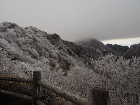 2022.12.03 ±ÀÀç¿ÎÅÄÆ½¡¢Ì¯¸«³Ù¡¡Ì¸É¹P1011787