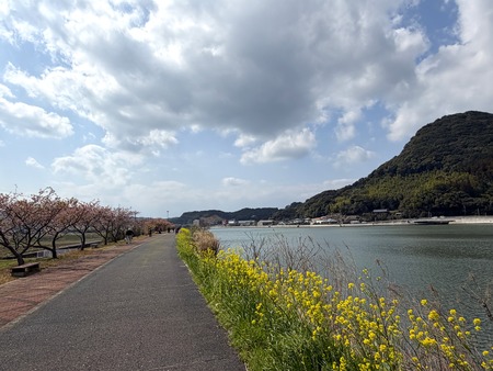 º´¡¹Ä®¤Î²ÏÄźùIMG_0867