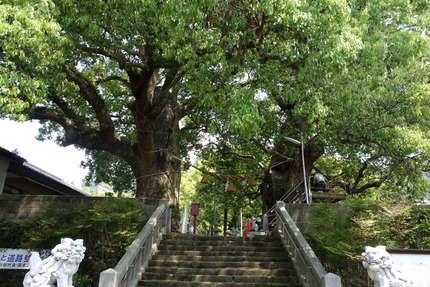 ��-���������Υ�DSC05932