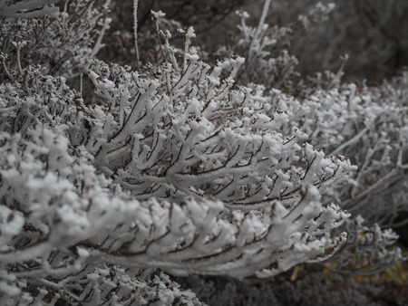 2022.12.03 ±ÀÀç¿ÎÅÄÆ½¡¢Ì¯¸«³Ù¡¡Ì¸É¹P1011660