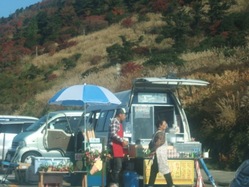 un-8DSCF6415