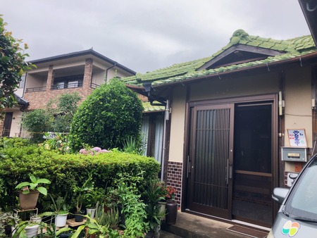 2024.07.24¡¡ëÝÁá»Ô¿¹»³Ä®¡¡Ï¤ʤ´¤ßIMG_1312