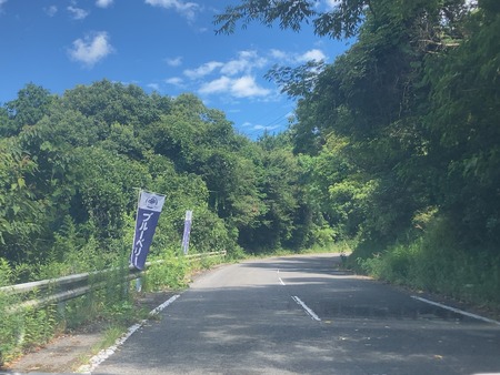 2025.08.14������ԡ����ӥ֥롼�٥꡼��IMG_8764