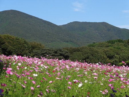o-8DSC01844