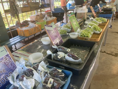 ����ʡ����꡼�֤ɤ���IMG_4990