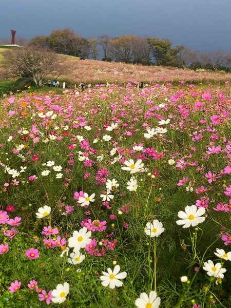 10.18�������⸶�����⥹IMG_0015