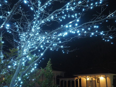 2023.02.17 雲仙温泉 雲仙灯りの花ぼうろP1011146