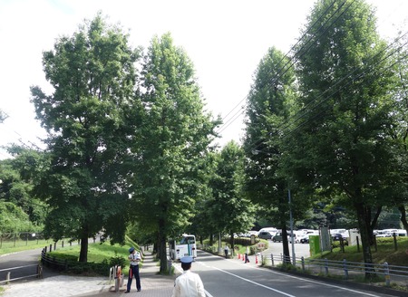 3-Vファーレン長崎DSC09390