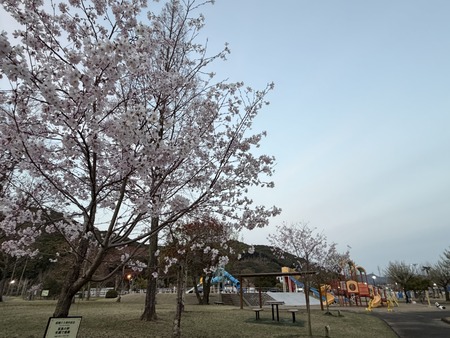 �������籿ư����IMG_5305