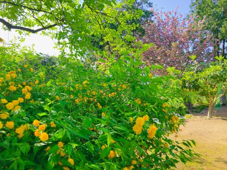 2022.04.19 ����Ը��Į���ھ�̾�β�ȪIMG_5721