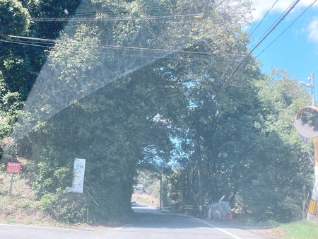 2022.04.06 Ĺ�������Įentspannt hutte �ҥ�å�IMG_2826