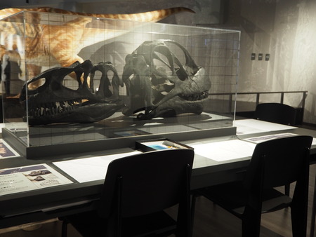 2021.10.31 Ĺºê»Ô¶²ÎµÇîʪ´ÛPA295756