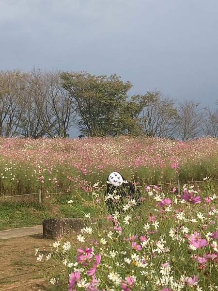 10.18�������⸶�����⥹IMG_9969