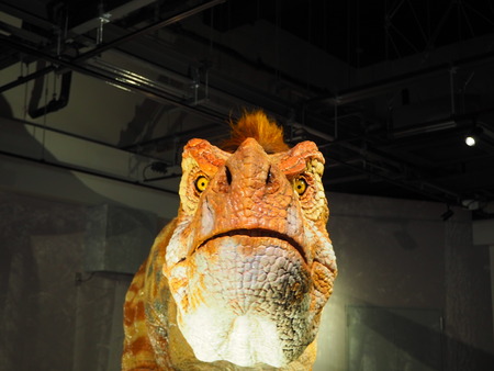 2021.10.31 Ĺºê»Ô¶²ÎµÇîʪ´ÛPA295735