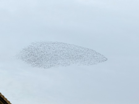 Ļ���緲B������IMG_3809