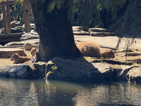 Ĺ��Х����ѡ��������ԥХ���֤����IMG_0671