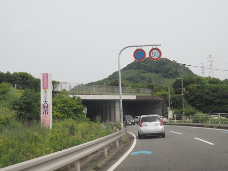 2022.06.11 大村市あじさいP6101497